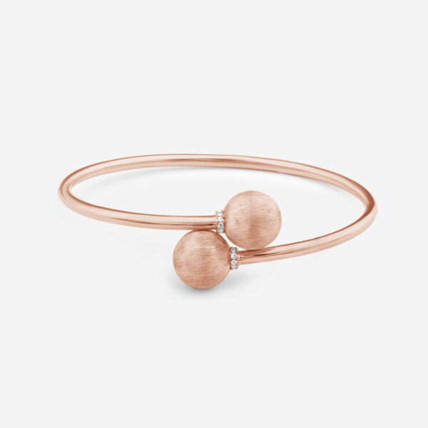 FB221-1RG-1.jpg | foroworld | foroworld