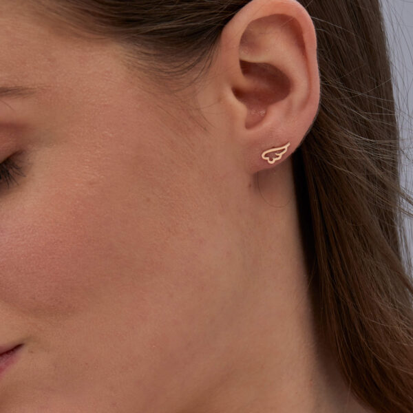 FE137-2.jpg | foroworld | foroworld