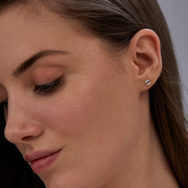 FE171-2-1.jpg | foroworld | foroworld