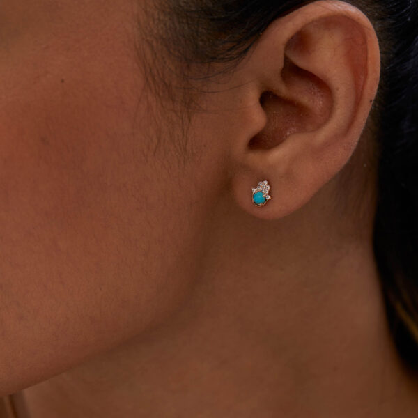 FE177-2-1.jpg | foroworld | foroworld