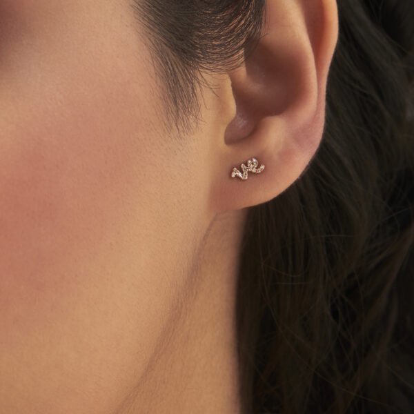 FE178-3.jpg | foroworld | foroworld