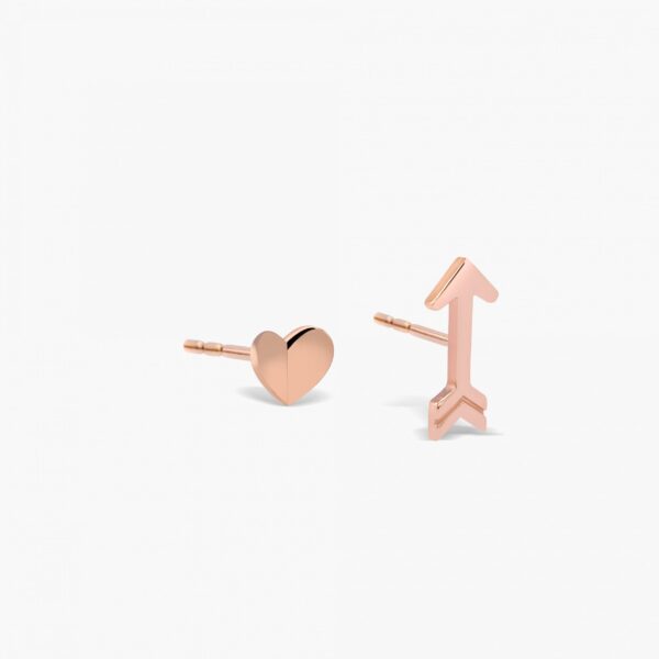 FE19-5RG-scaled-1.jpg | foroworld | foroworld