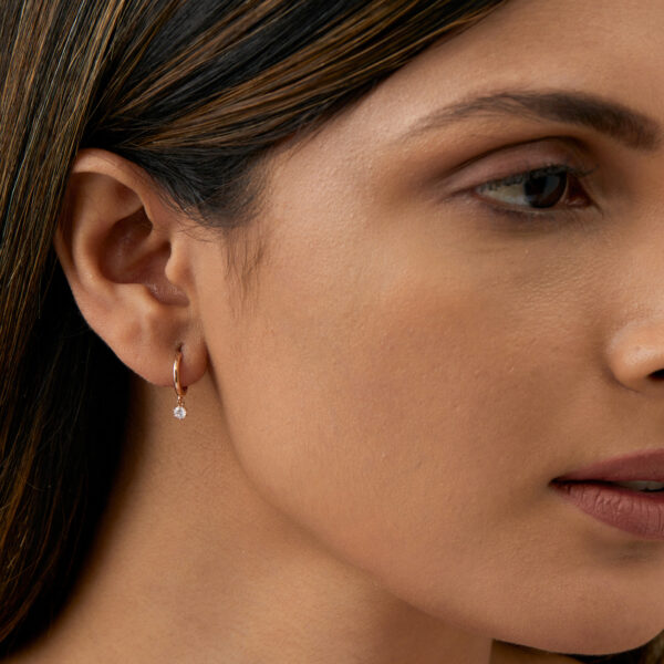 FE240-2.jpg | foroworld | foroworld