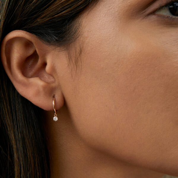 FE240-4.jpg | foroworld | foroworld