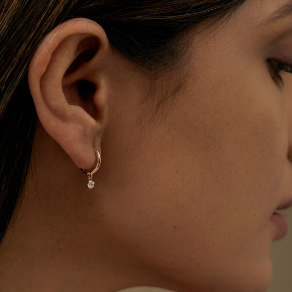 FE240-5.jpg | foroworld | foroworld