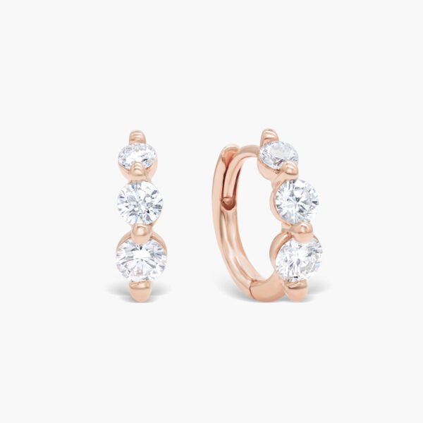 FE244-1RG.jpg | foroworld | foroworld