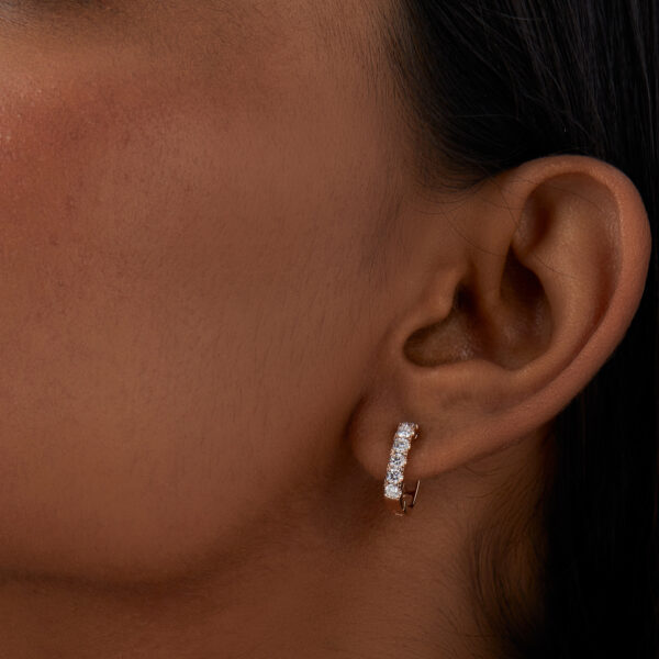 FE265-6.jpg | foroworld | foroworld