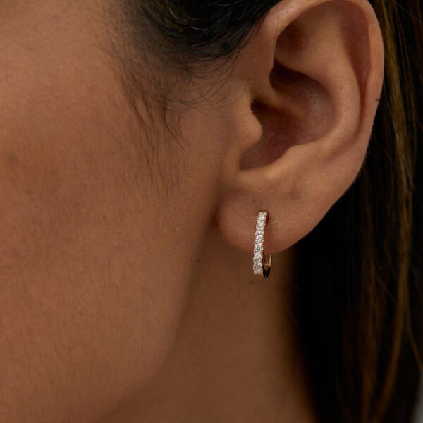 FE267-5.jpg | foroworld | foroworld