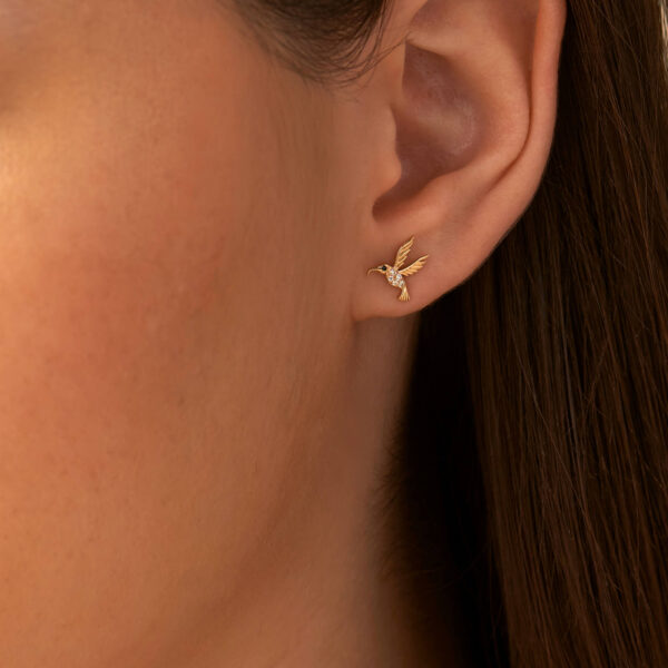 FE362-3.jpg | foroworld | foroworld