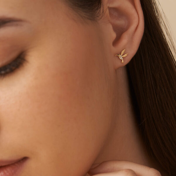 FE362-4.jpg | foroworld | foroworld