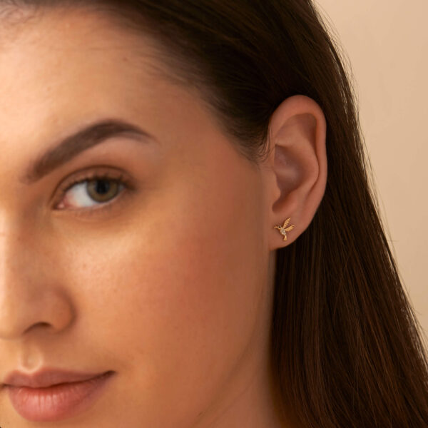 FE362-5.jpg | foroworld | foroworld