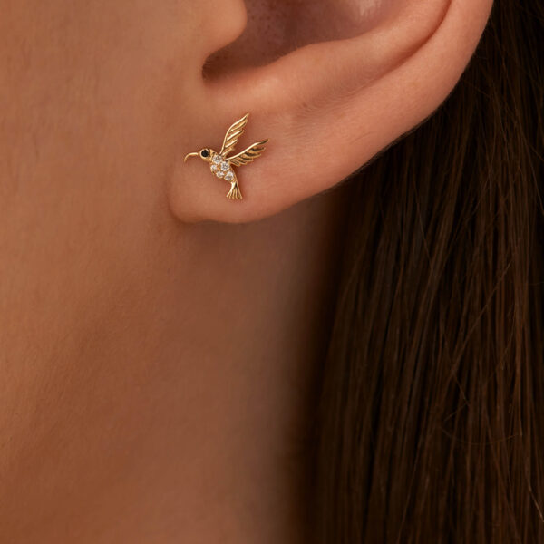 FE362-6.jpg | foroworld | foroworld