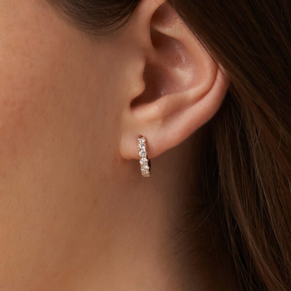 FE431-3.jpg | foroworld | foroworld