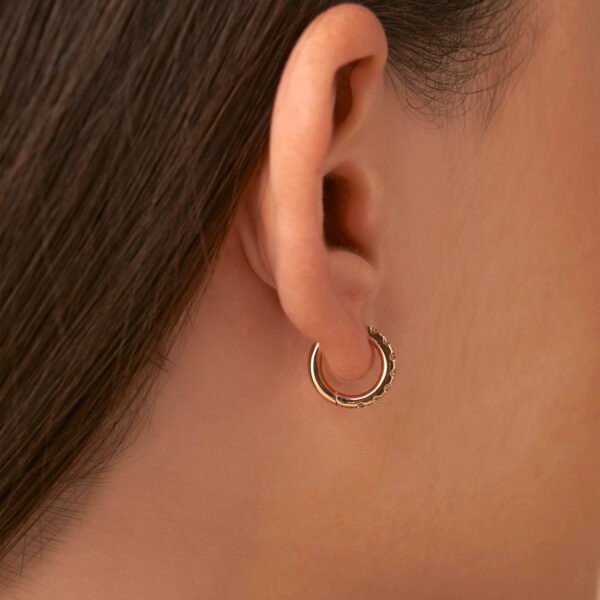 FE431-5.Jjpg_.jpg | foroworld | foroworld