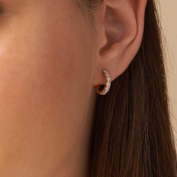 FE431-6.jpg | foroworld | foroworld