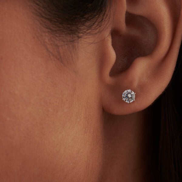 FE499-1.jpg | foroworld | foroworld