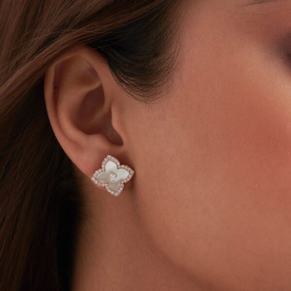 FE605-2-2.jpg | foroworld | foroworld