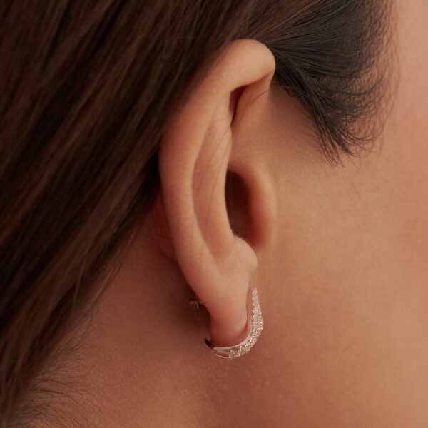 FE606-3.jpg | foroworld | foroworld