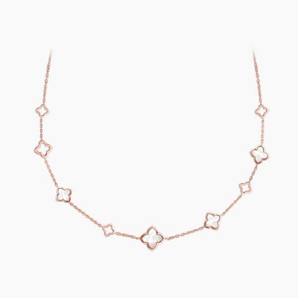 FN11-1RG.jpg | foroworld | foroworld