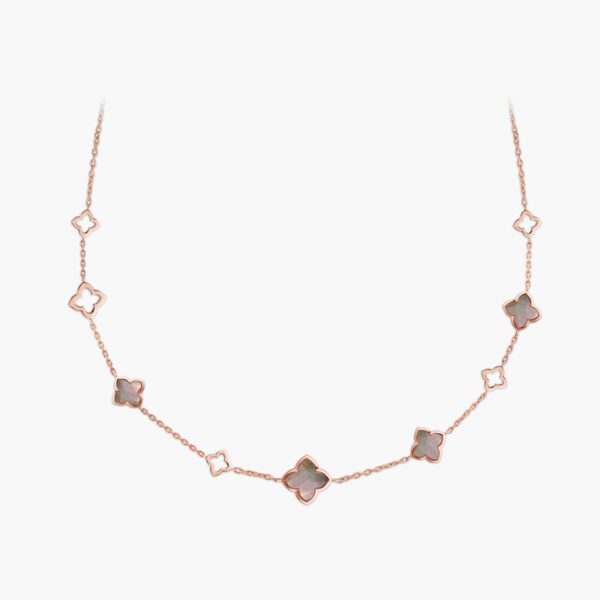 FN309-1RG-1.jpg | foroworld | foroworld