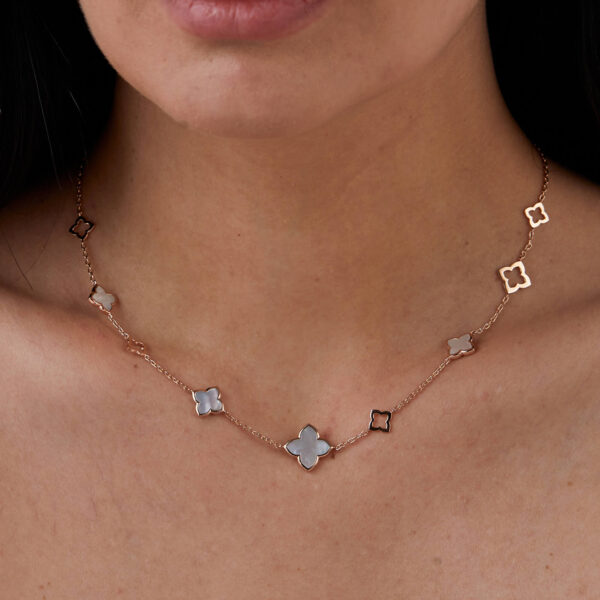 FN322-3.jpg | foroworld | foroworld