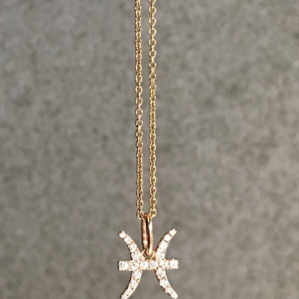 FP202-2.jpg | foroworld | foroworld