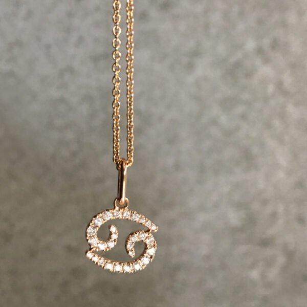 FP203-2.jpg | foroworld | foroworld