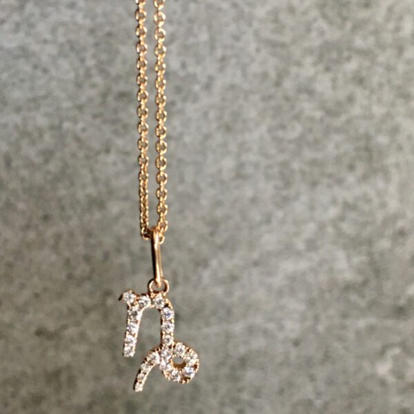 FP212-2.jpg | foroworld | foroworld