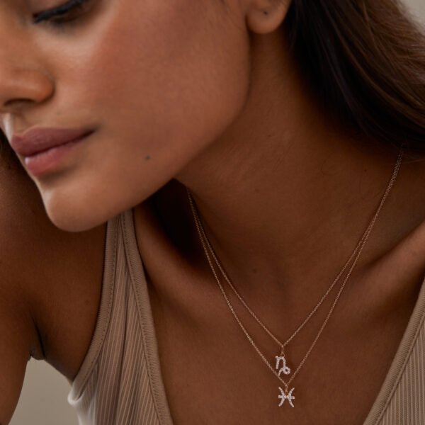 FP212-3-1.jpg | foroworld | foroworld