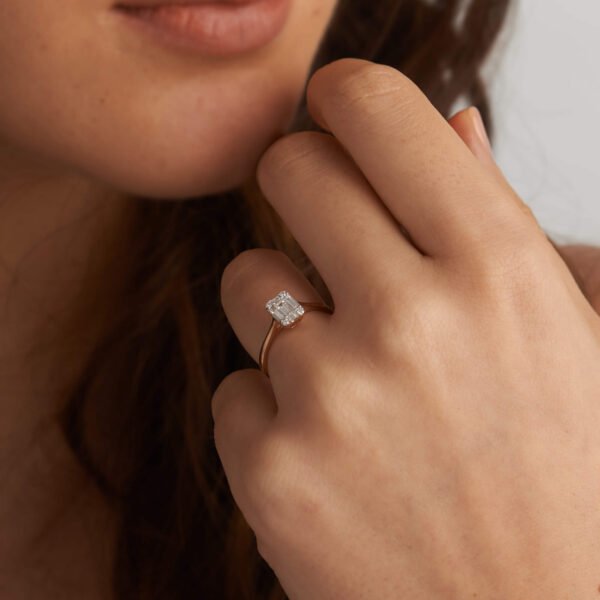 FR417-3.jpg | foroworld | foroworld