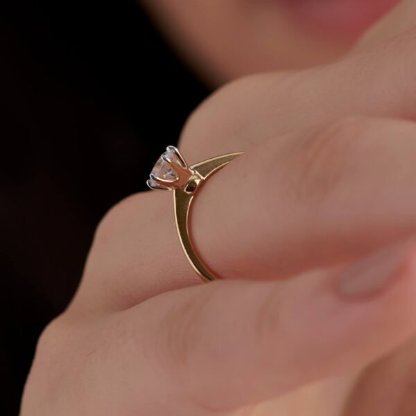 FR495-3.jpg | foroworld | foroworld