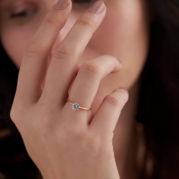 FR495-4.jpg | foroworld | foroworld