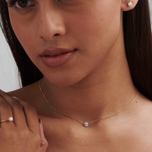 FR495-5.jpg | foroworld | foroworld