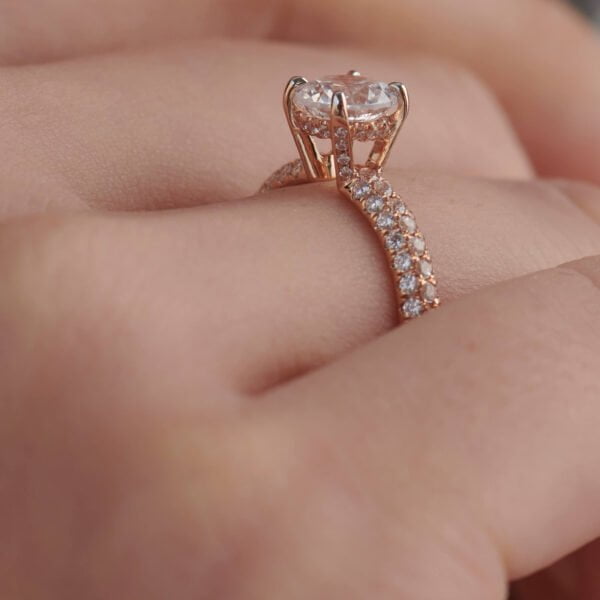 FR519-2.jpg | foroworld | foroworld