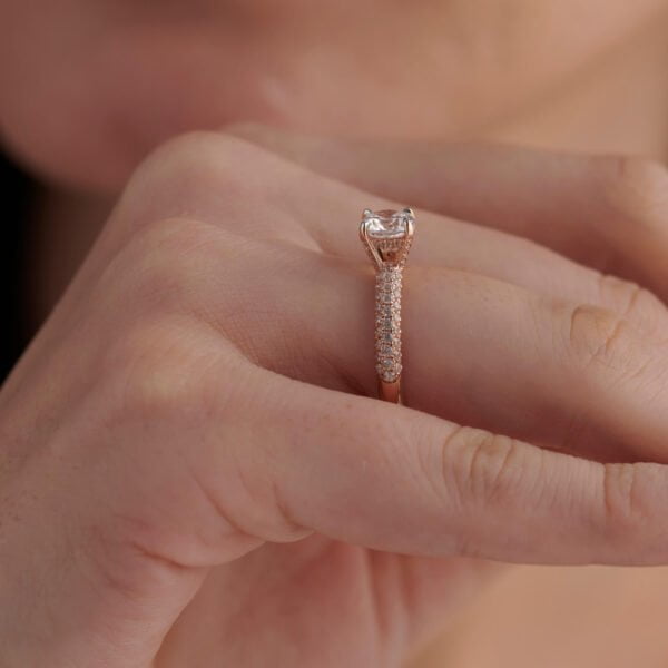 FR519-3.jpg | foroworld | foroworld