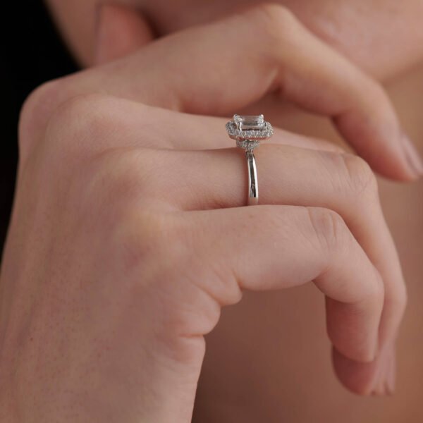 FR523-3.jpg | foroworld | foroworld