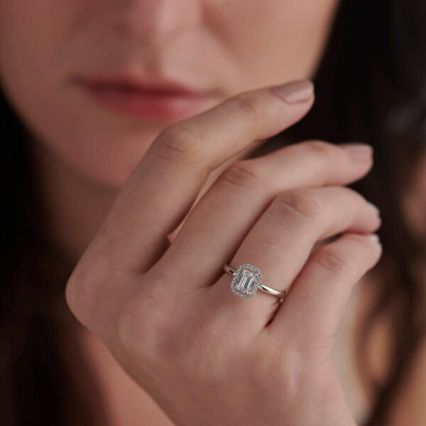 FR523-4.jpg | foroworld | foroworld