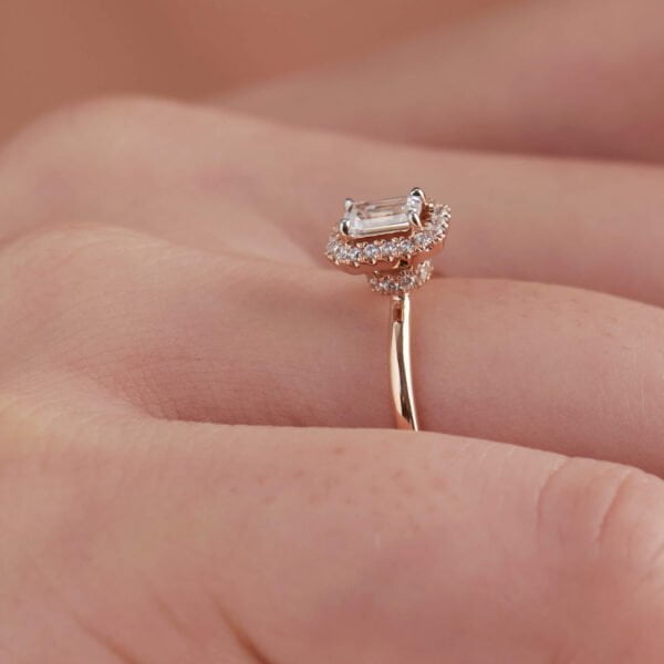 FR524-3.jpg | foroworld | foroworld