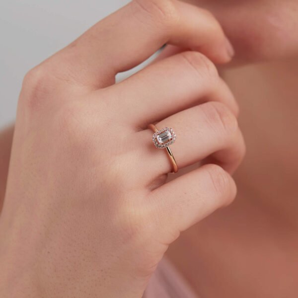 FR524-5.jpg | foroworld | foroworld