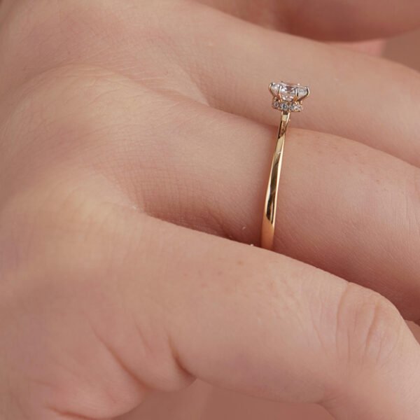 FR528-3.jpg | foroworld | foroworld