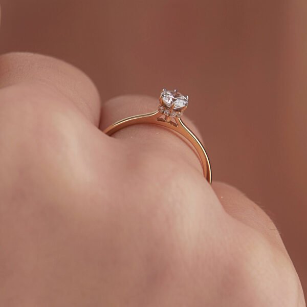 FR528-4-1.jpg | foroworld | foroworld