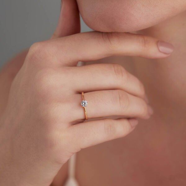 FR528-5.jpg | foroworld | foroworld