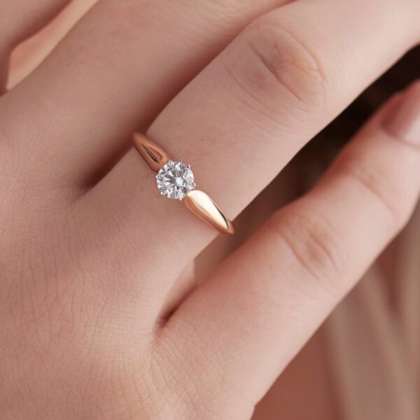 FR533-1.jpg | foroworld | foroworld