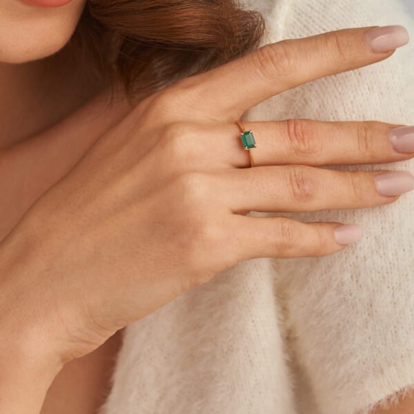 FR535-3.jpg | foroworld | foroworld