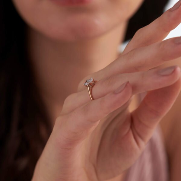 FR537-5-1.jpg | foroworld | foroworld