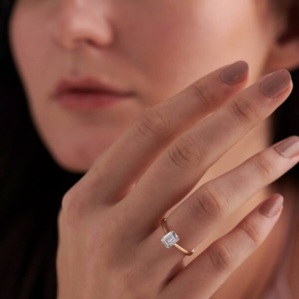 FR537-6.jpg | foroworld | foroworld