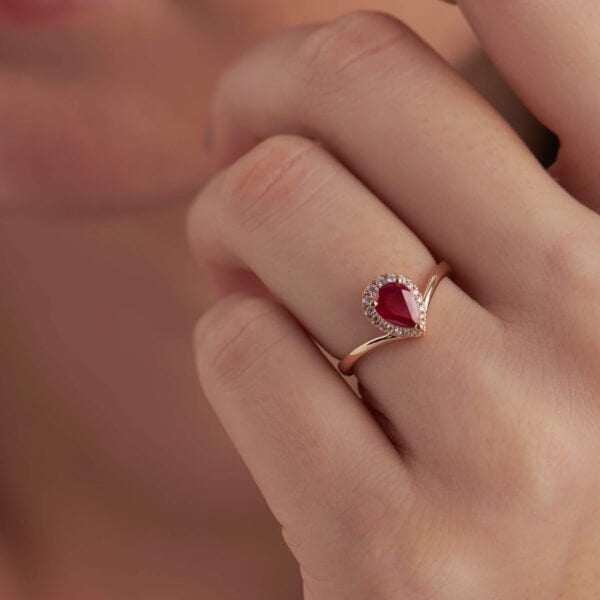 FR538-1.jpg | foroworld | foroworld