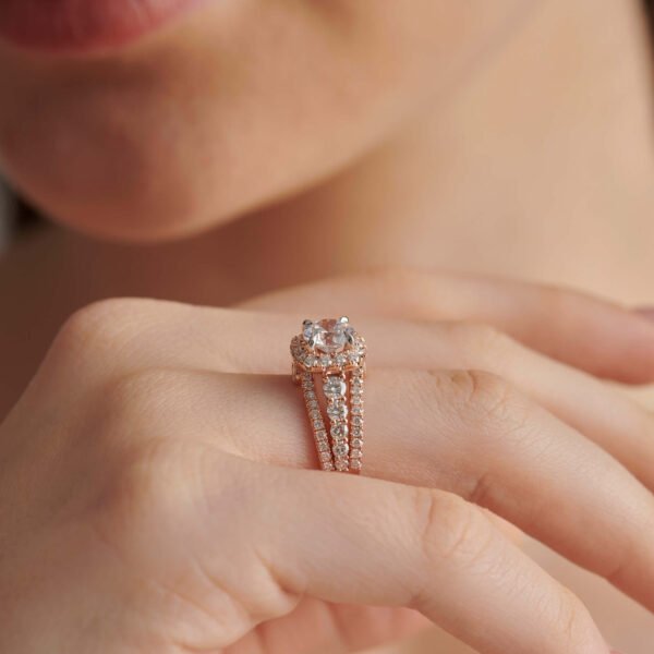 FR567-3.jpg | foroworld | foroworld