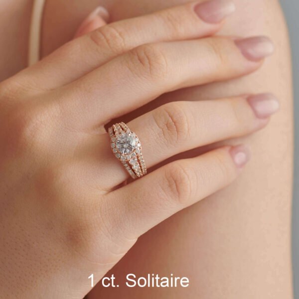 FR567-5.jpg | foroworld | foroworld