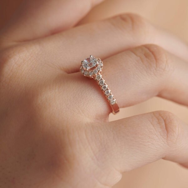 FR568-1.jpg | foroworld | foroworld